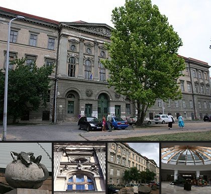 Magyar Természettudományi Múzeum (Ludovika)